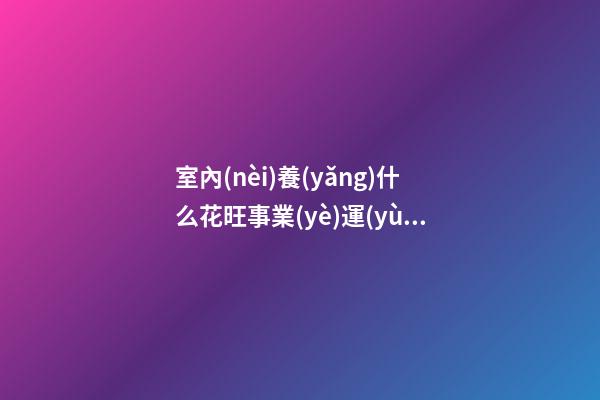 室內(nèi)養(yǎng)什么花旺事業(yè)運(yùn)  薄荷可提神